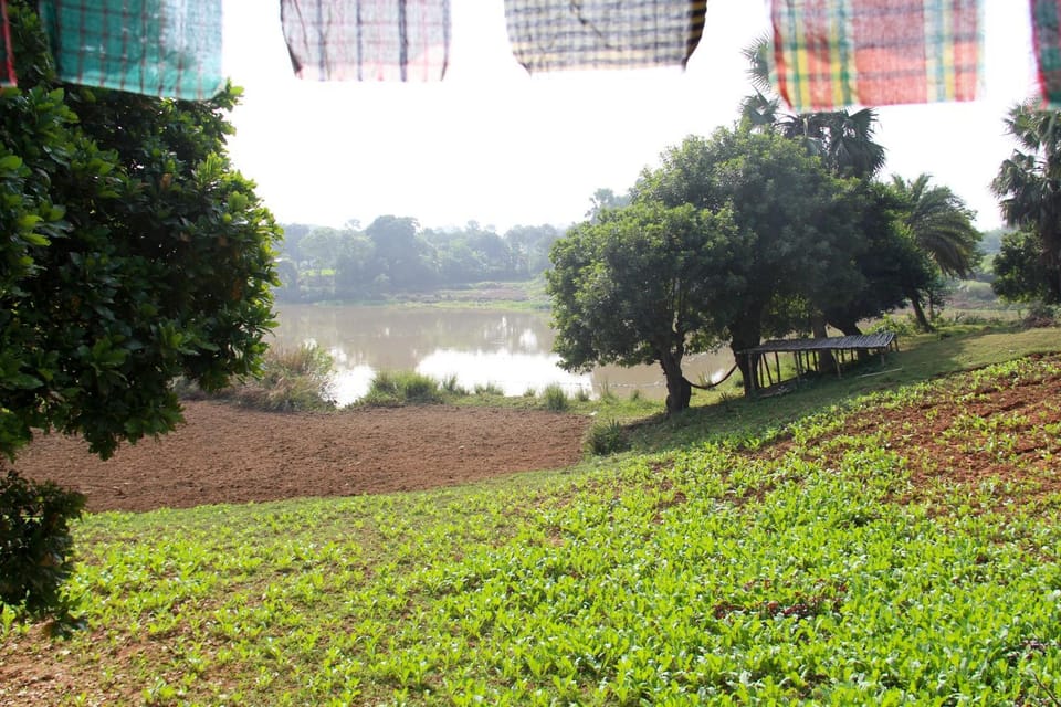 Lake view