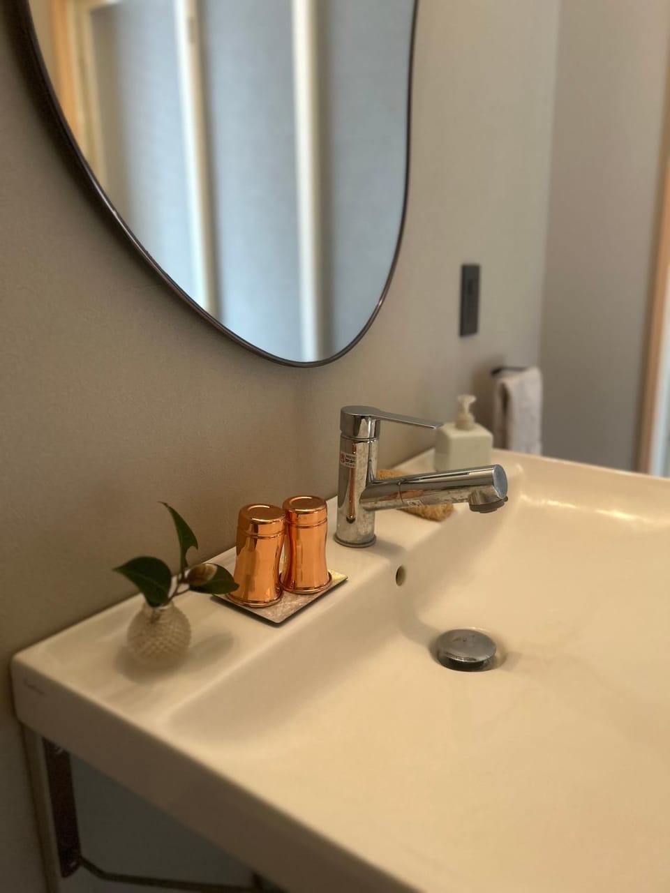 Bathroom, Facility for disabled guests, acessibility