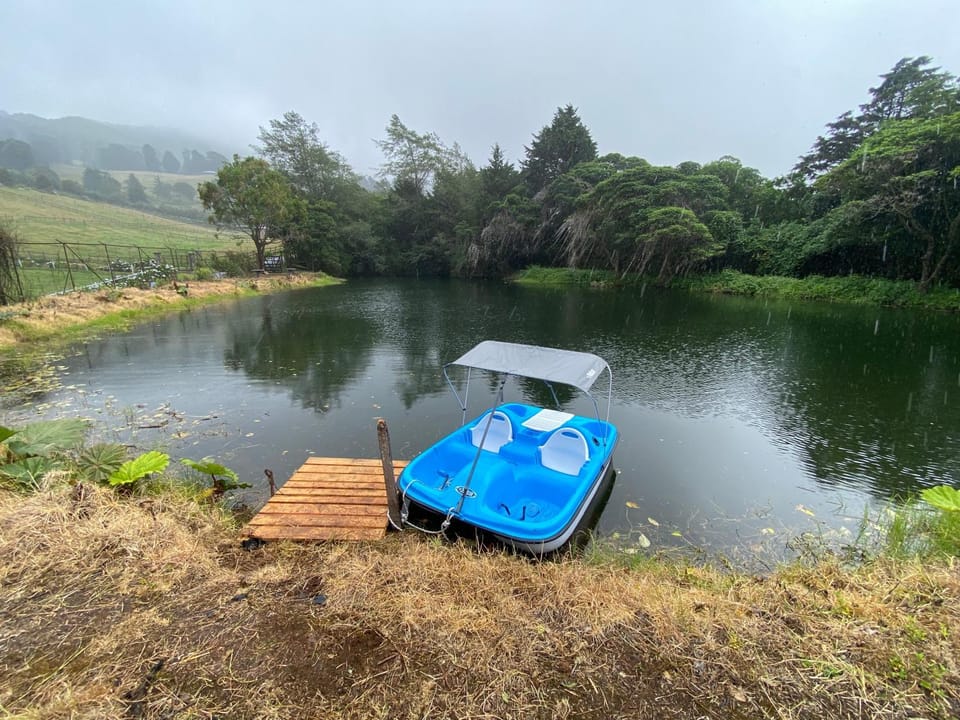 Natural landscape, Activities, Lake view