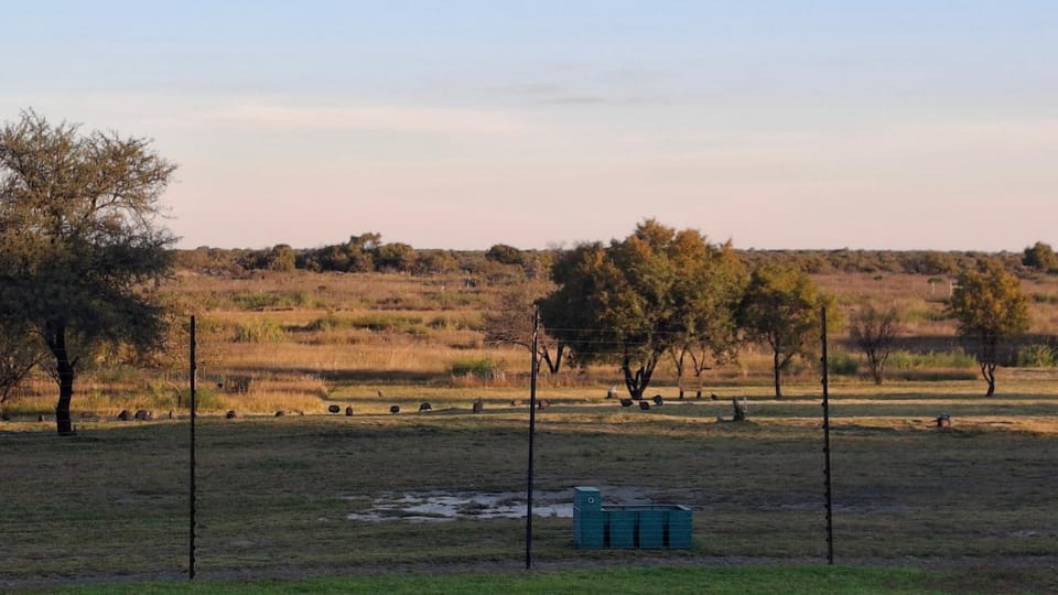 View (from property/room)