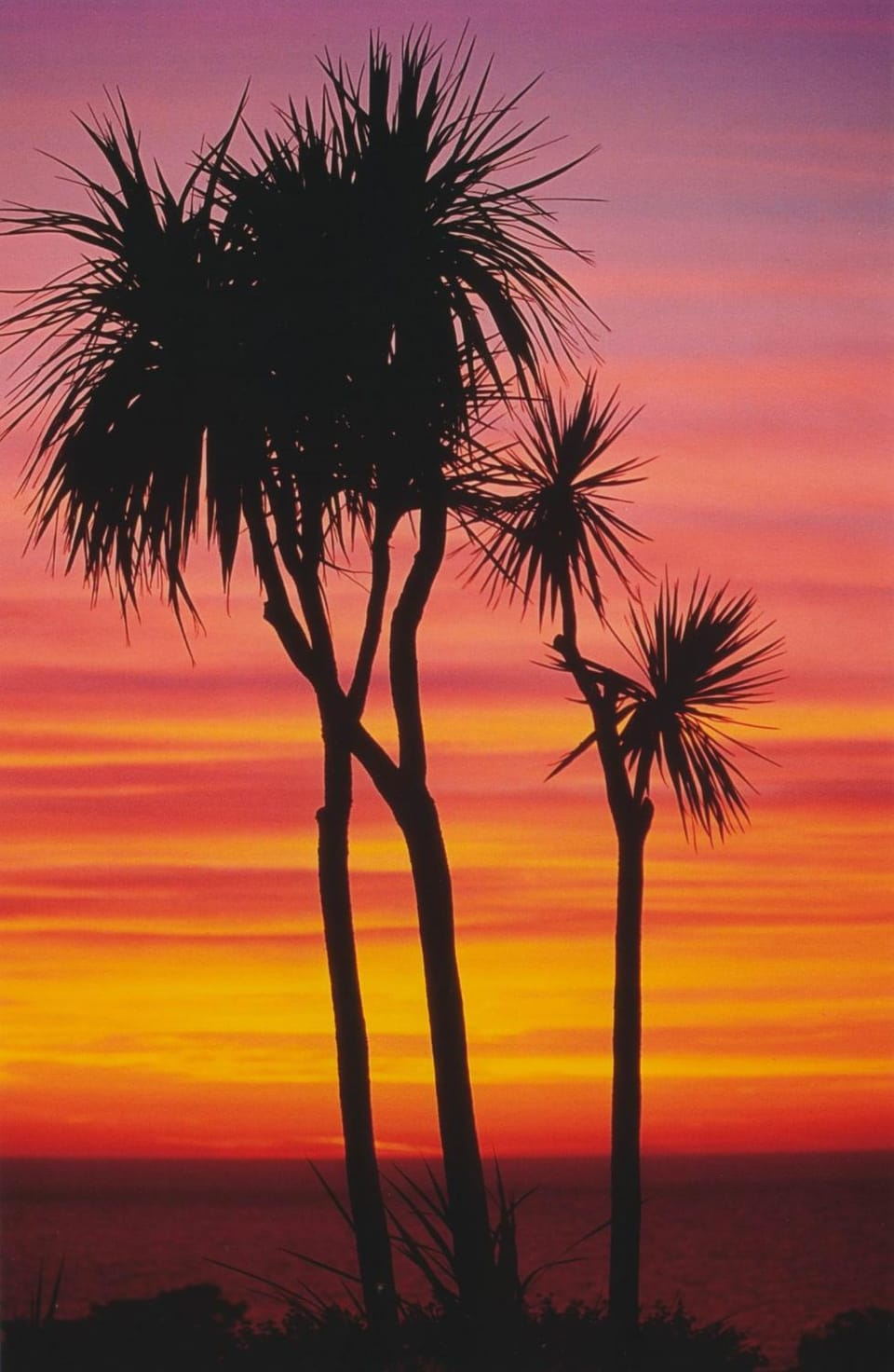 Inner courtyard view