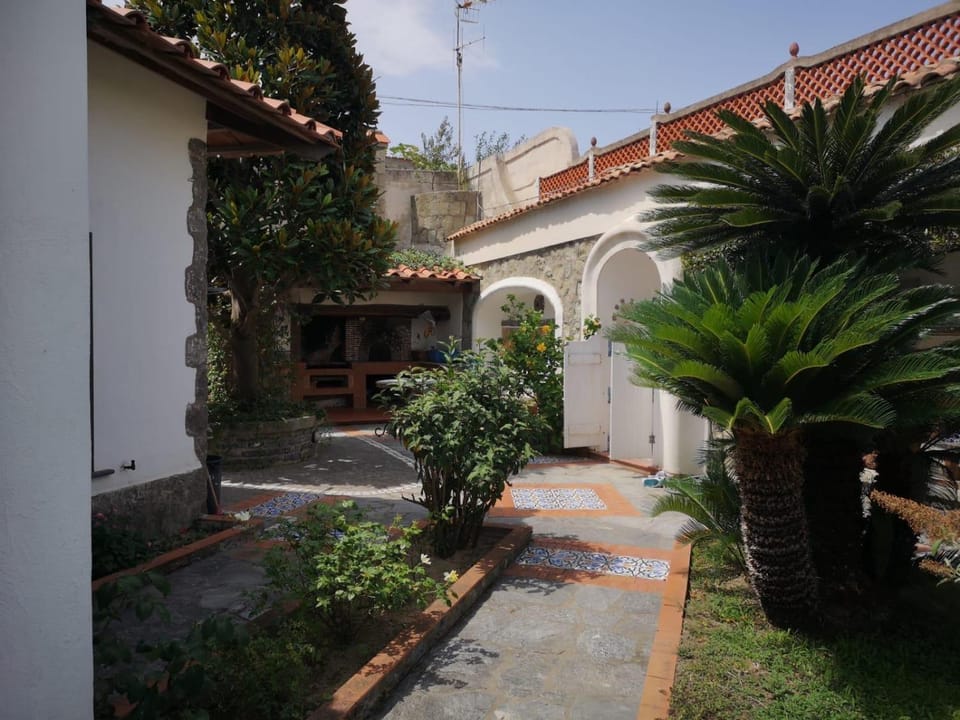 Villa Brigio Villa in Forio