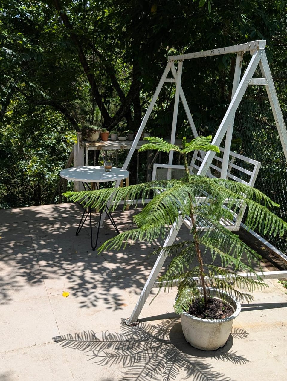 Vườn Nắng Ấm Của Tía Vacation rental in Dalat