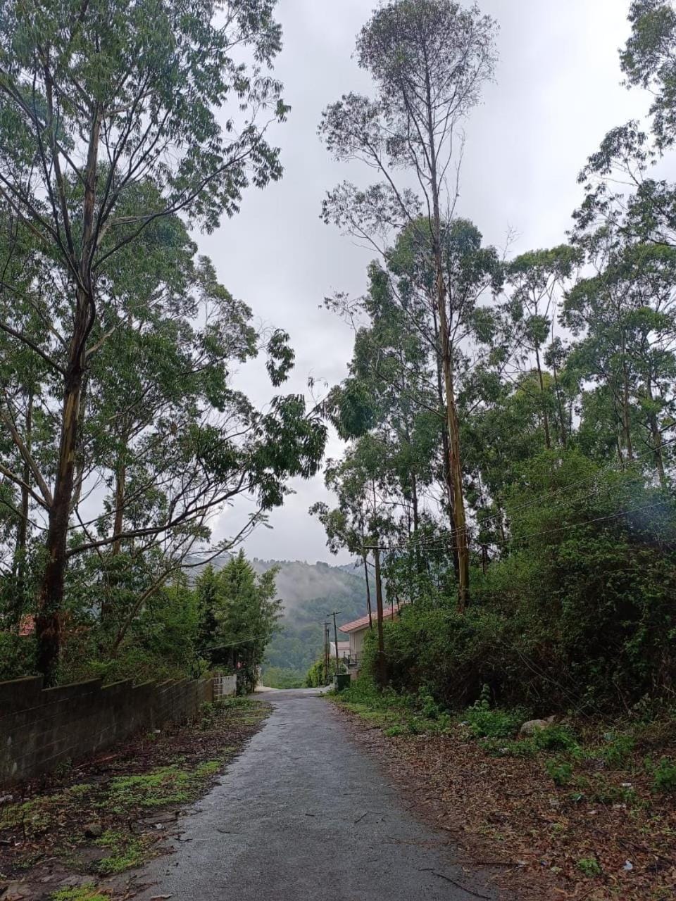 Natural landscape, Mountain view