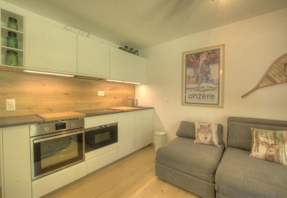 Studio Gemeaux 206 sur la place du Village a Anzere Apartment in Canton of Valais