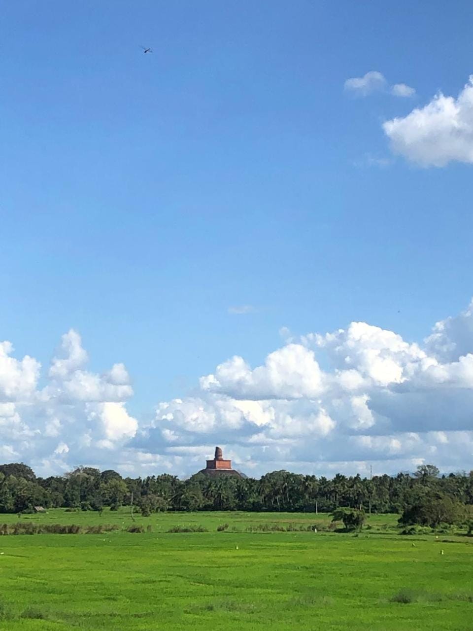 Landmark view
