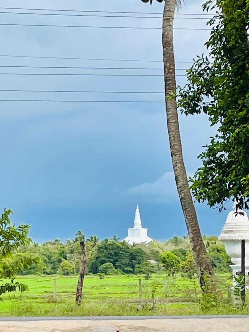 Landmark view