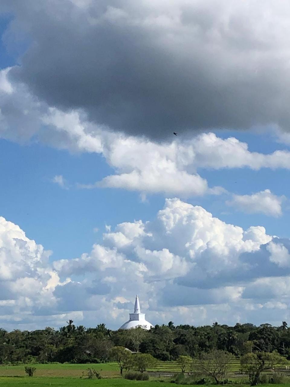 Landmark view
