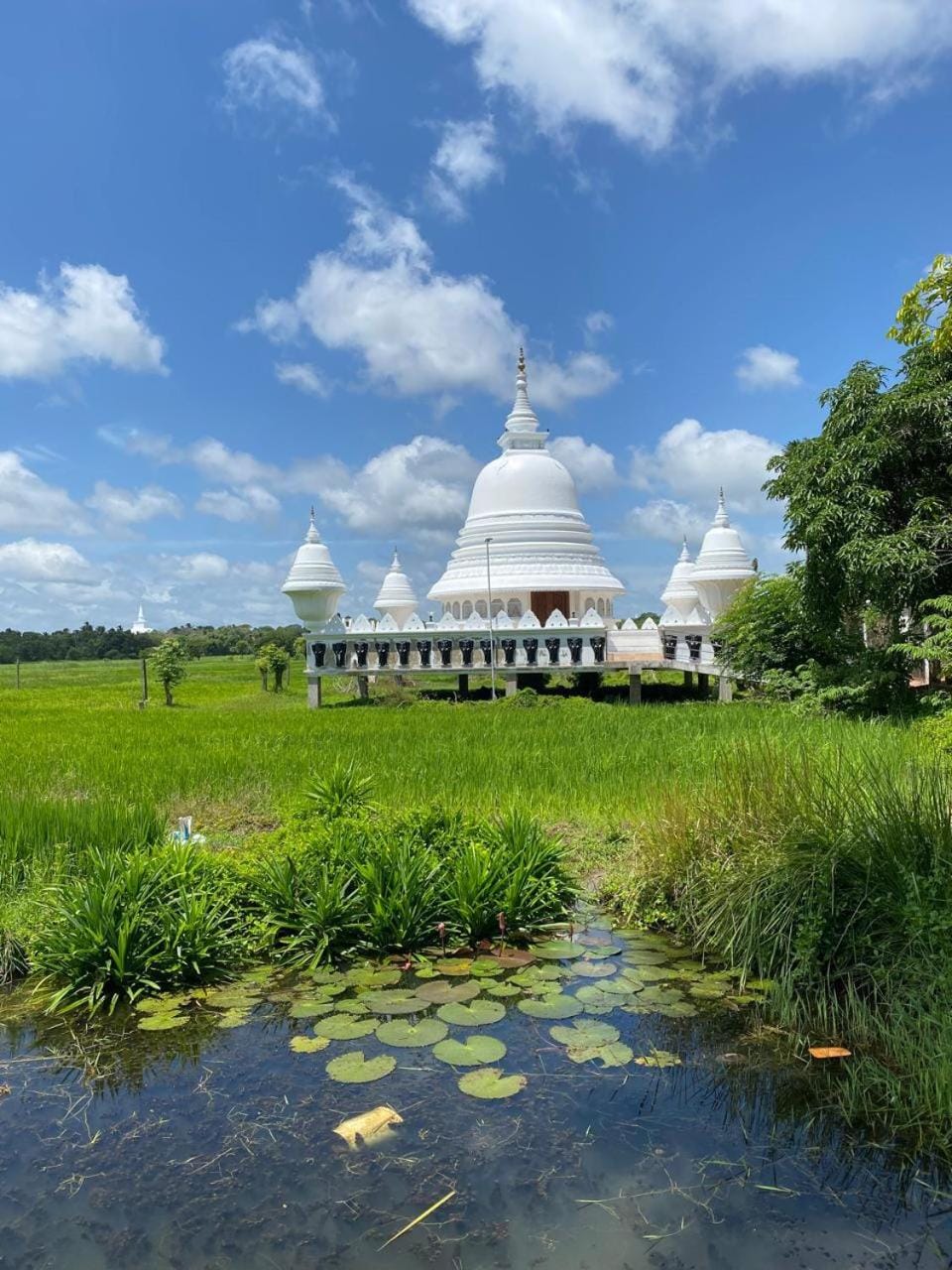 Landmark view