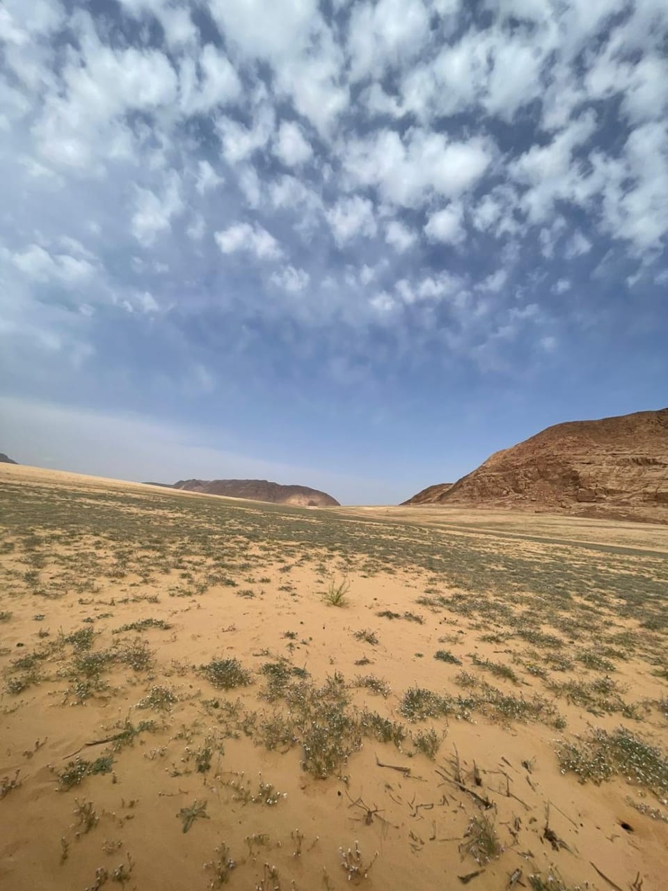 Day, Natural landscape