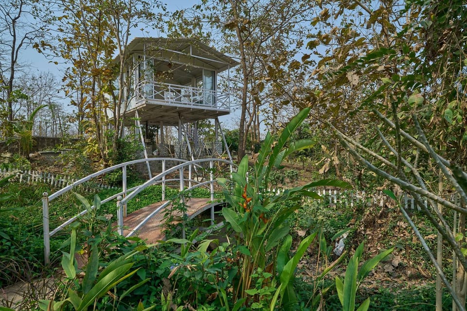 Natural landscape, Garden view