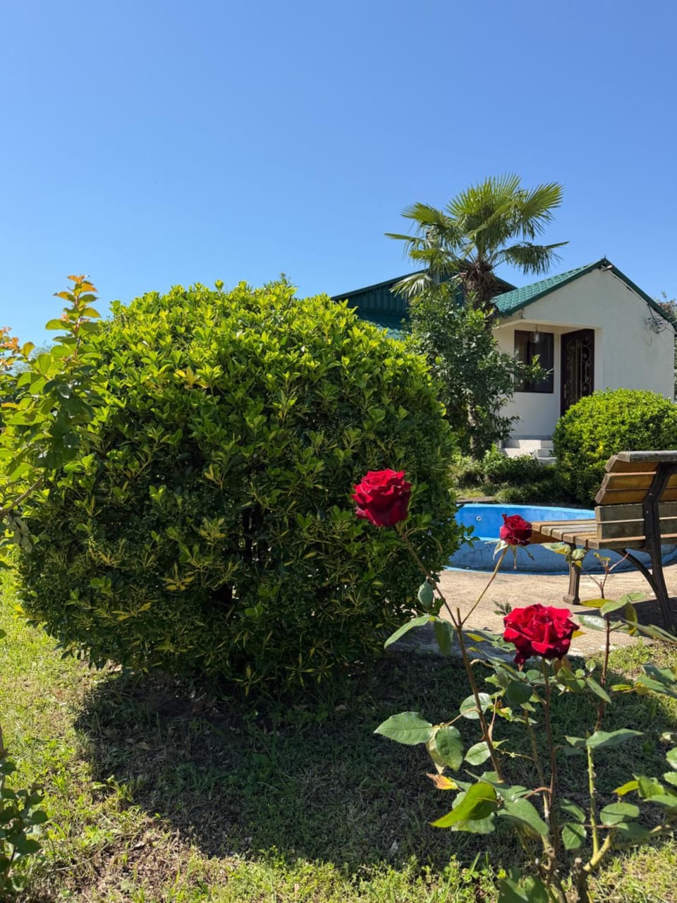Property building, Natural landscape, Garden view, Parking