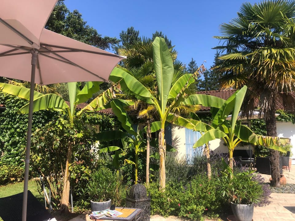 Natural landscape, Garden, Garden view