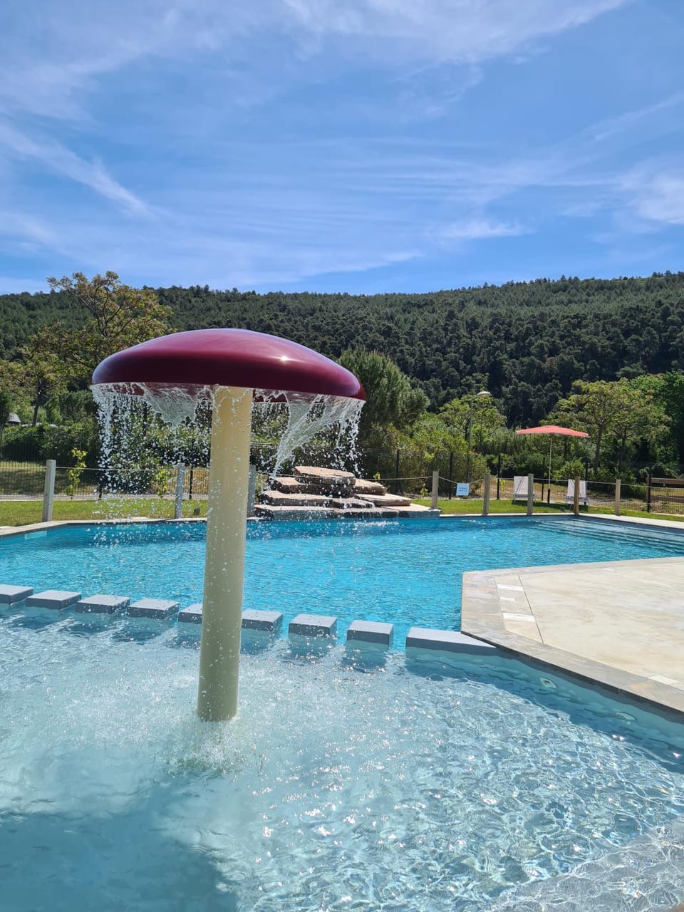 Swimming pool, Public Bath