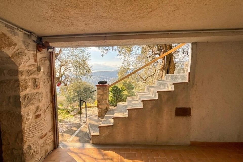 The Olive Grove - Sea View House in Nice
