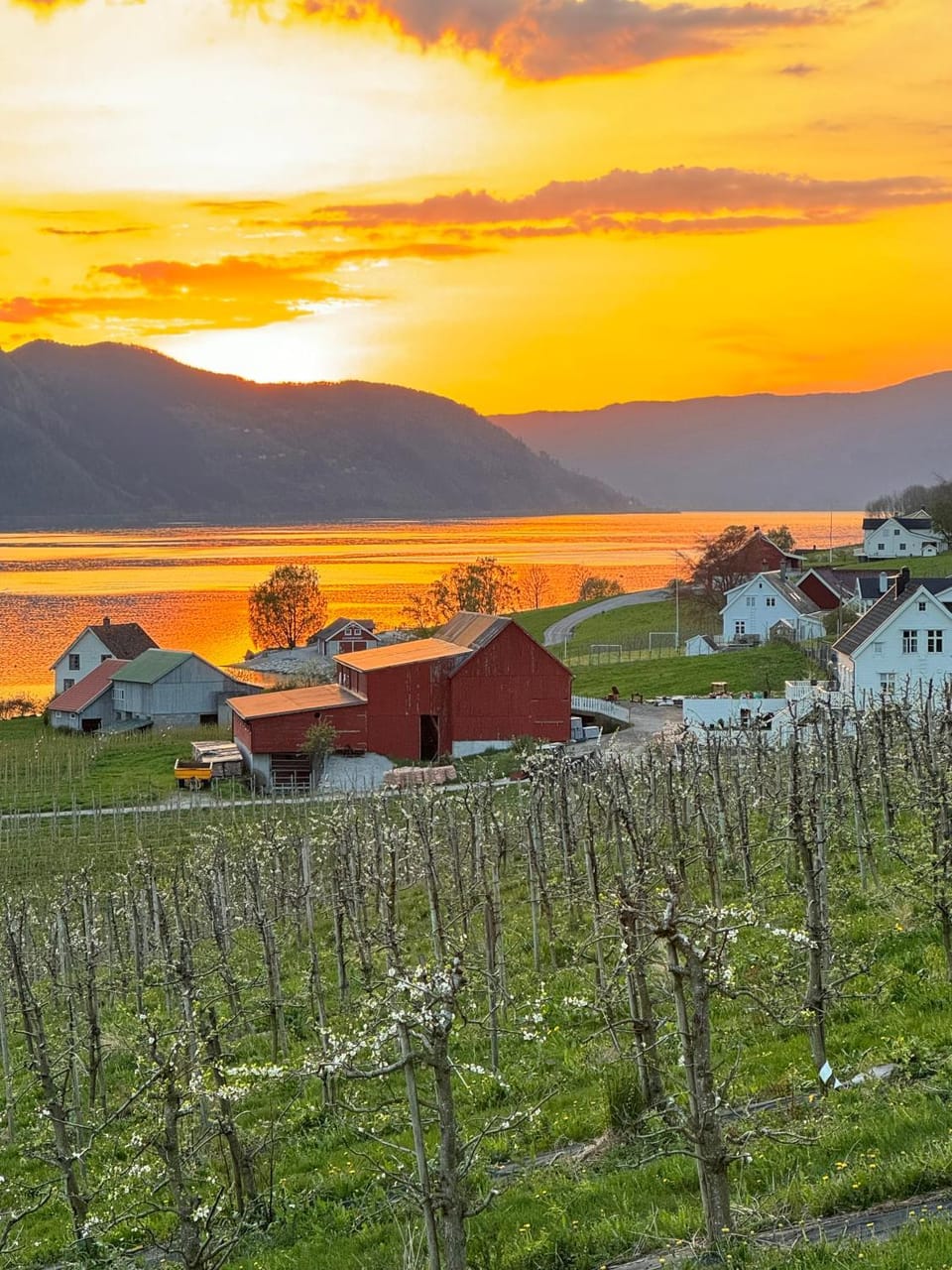 Natural landscape