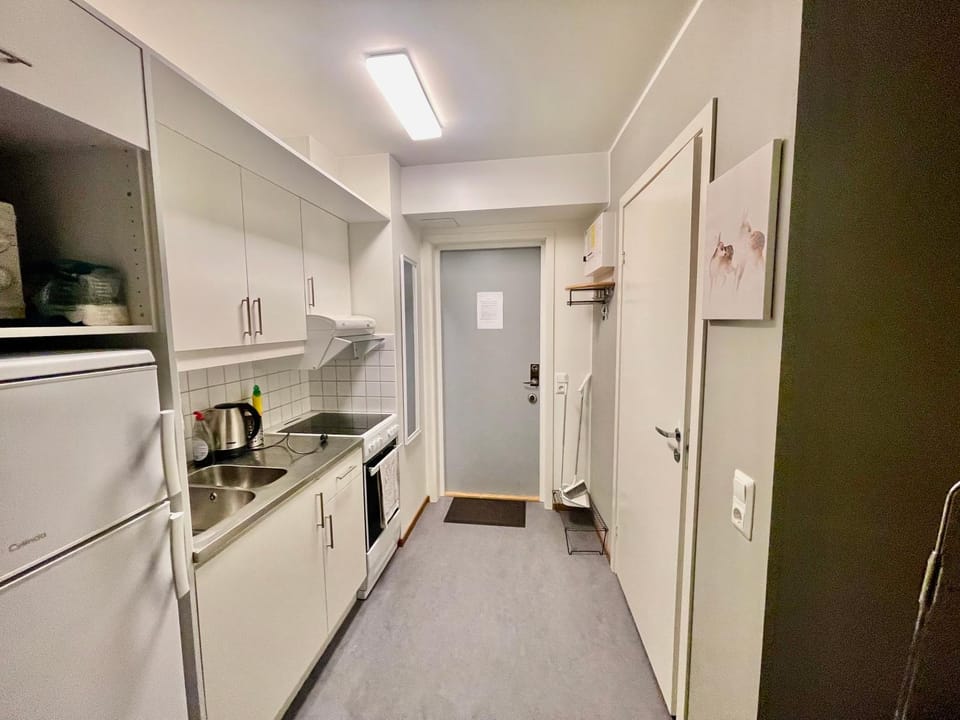 A one room apartment, Cozy and calm Apartment in Norrbotten County, Sweden