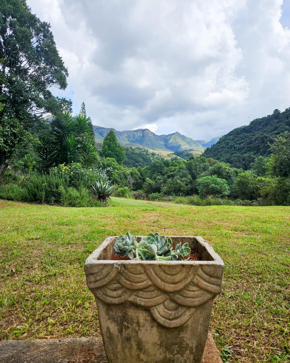 Mountain view