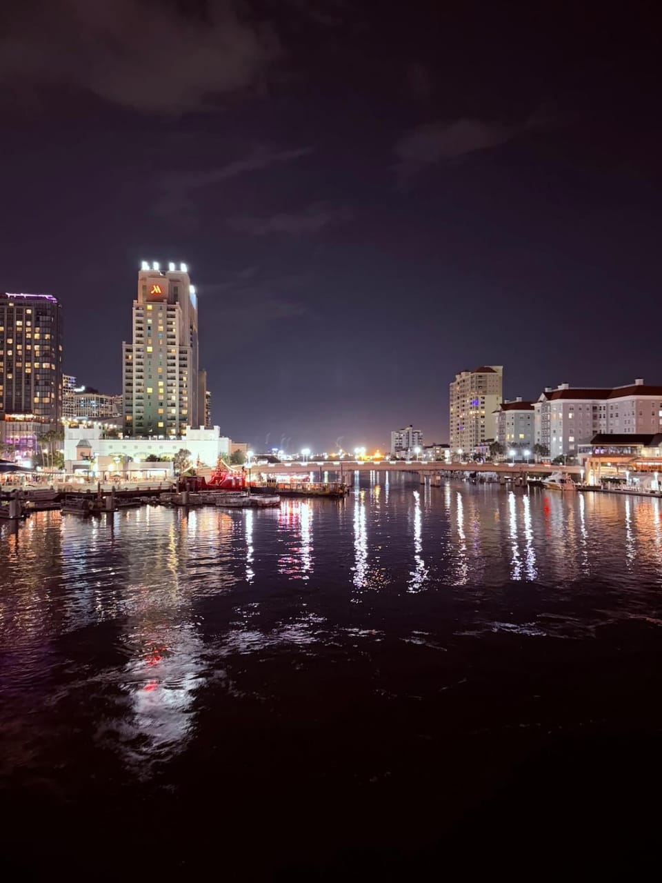 Brand-New 1BR Minutes to Tampa's Top Attractions House in Tampa