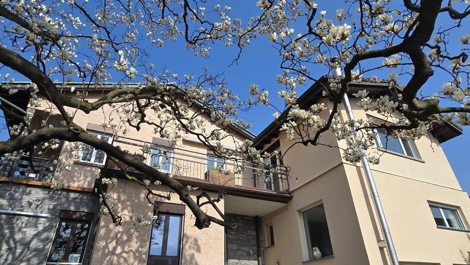 Property building, Spring