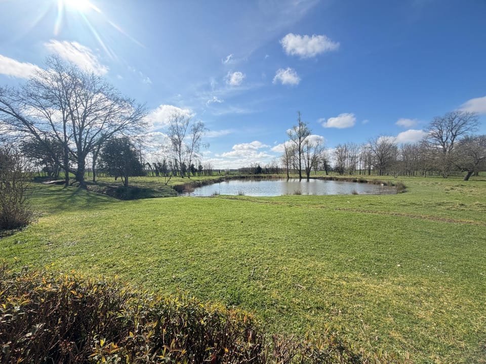 BBQ facilities, Garden, Garden view, Lake view
