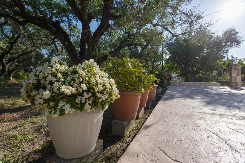 Spring, Day, Garden, Garden view