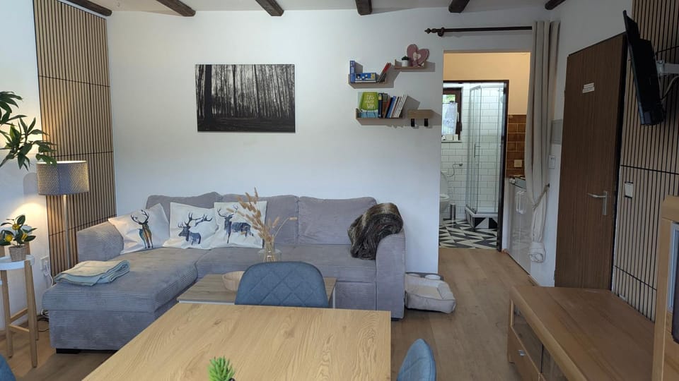 TV and multimedia, Living room, Photo of the whole room, Seating area, Evening entertainment