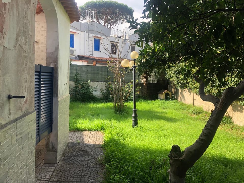 Shower, Property building, Day, Garden