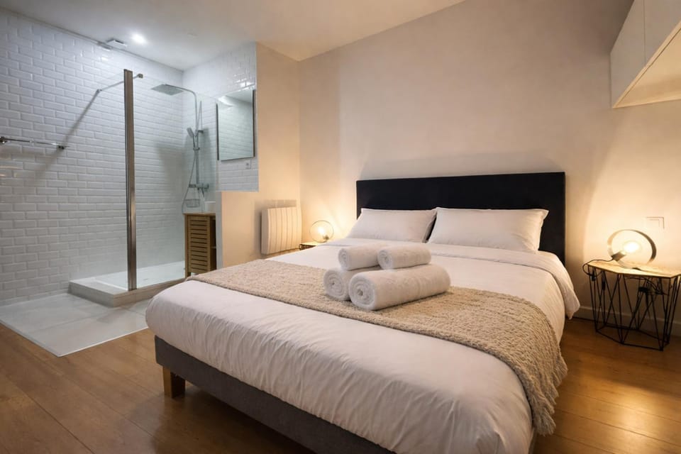 charmant appartement en plein coeur du centre-ville - 2 personnes Apartment in Angers