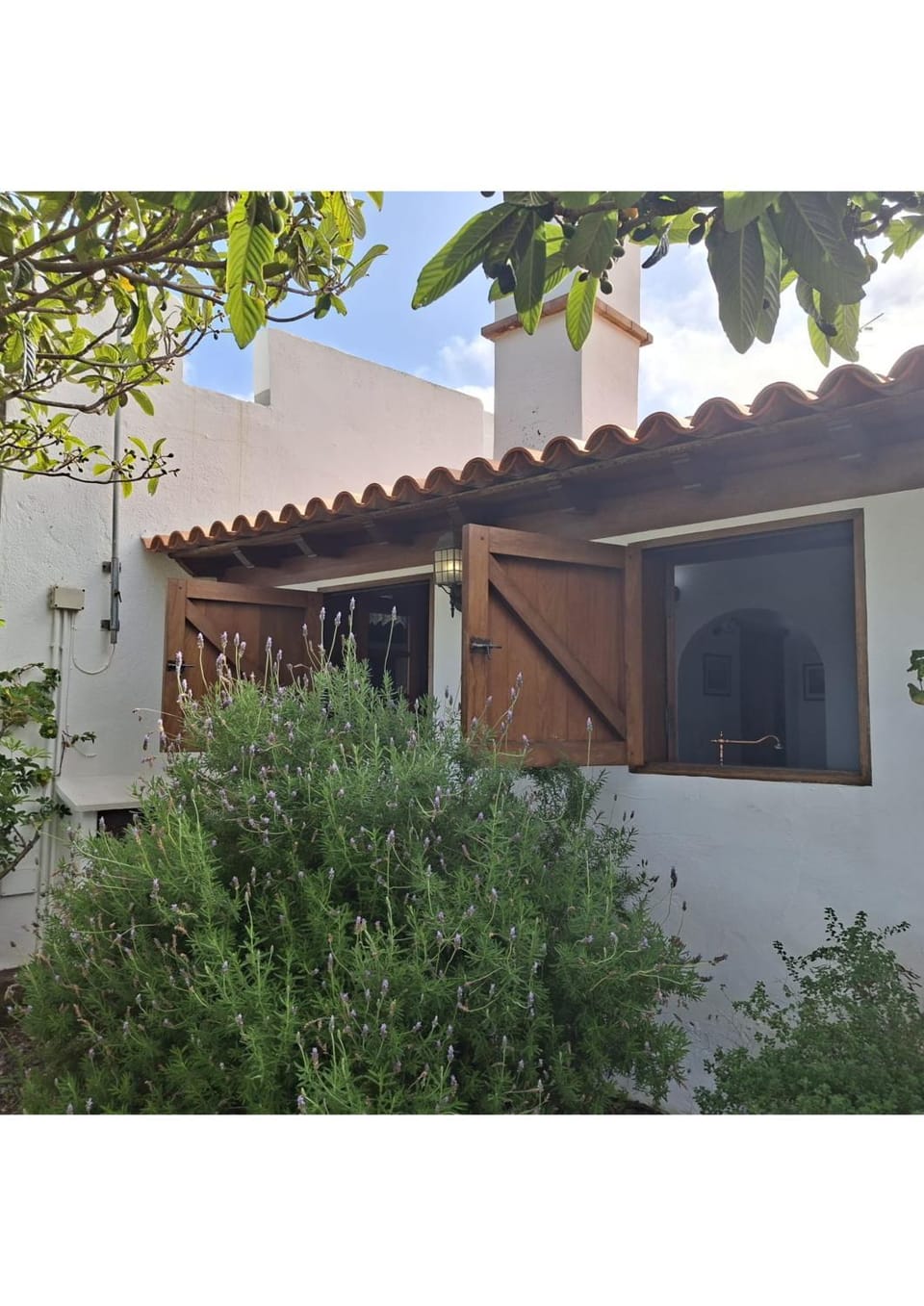 Los Hinojales House in Canary Islands