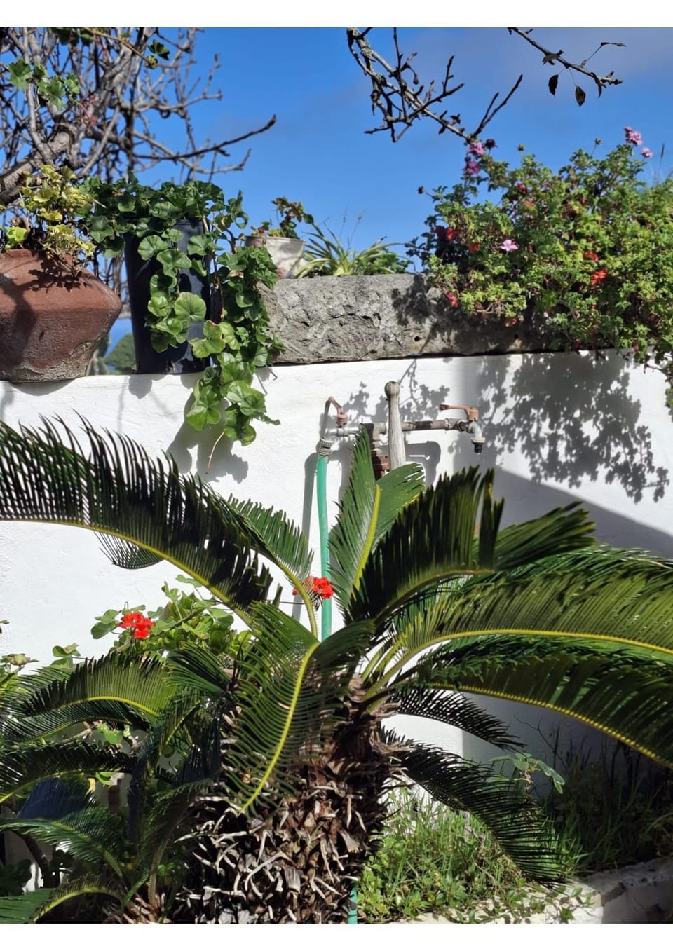 Los Hinojales House in Canary Islands