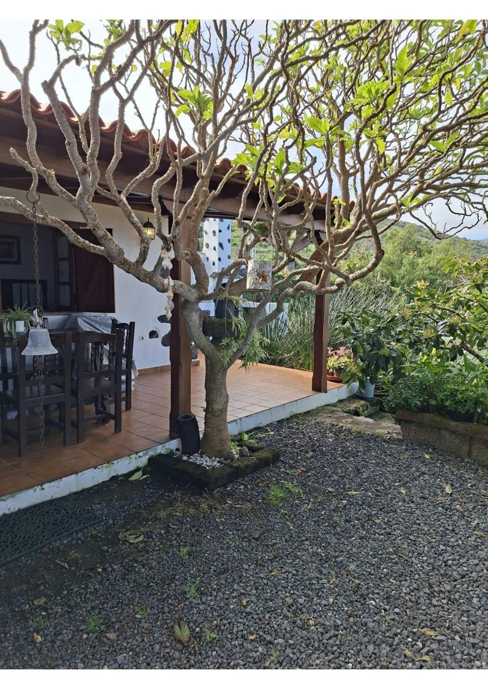 Los Hinojales House in Canary Islands