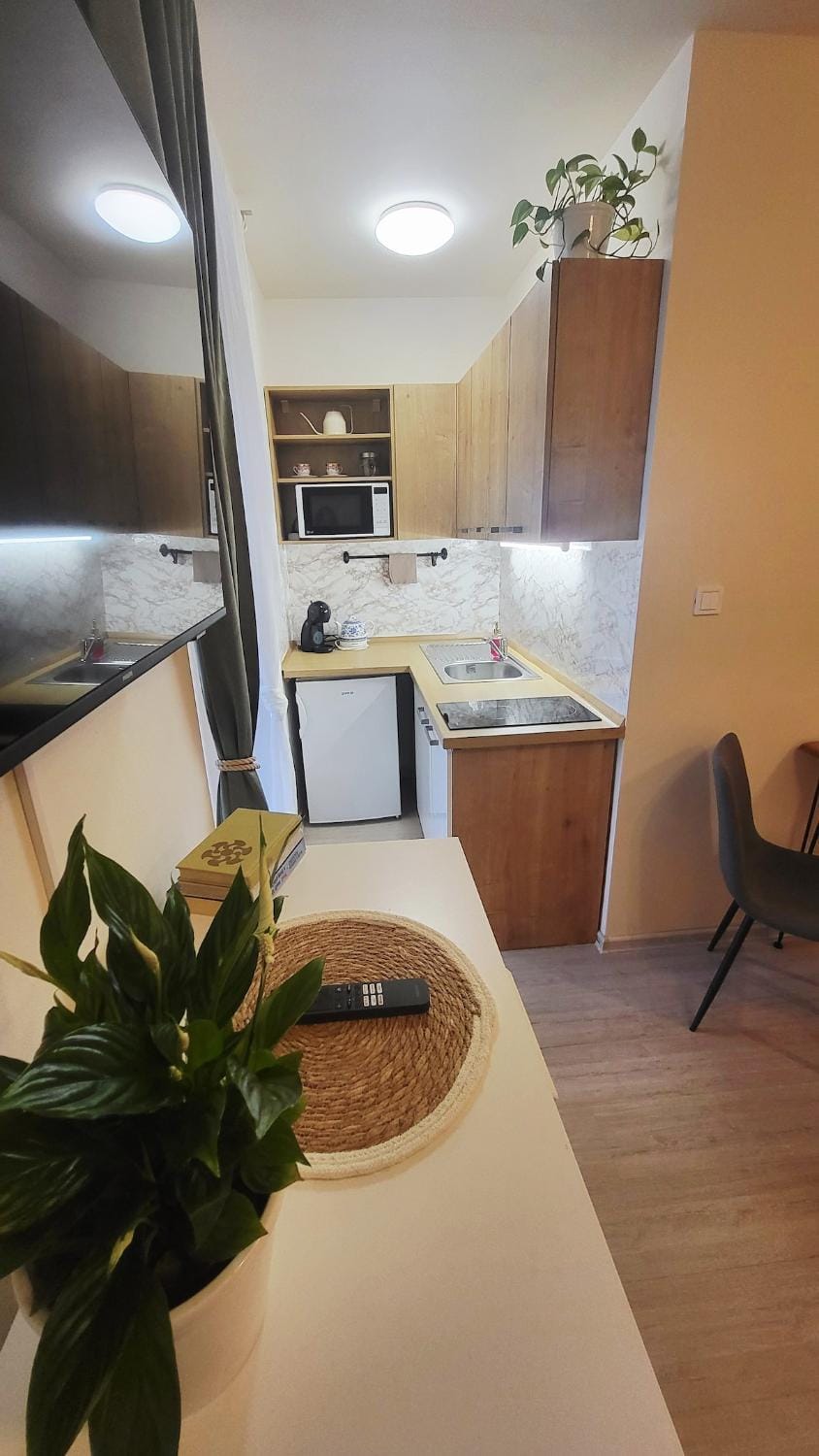 Kitchen or kitchenette, kitchen