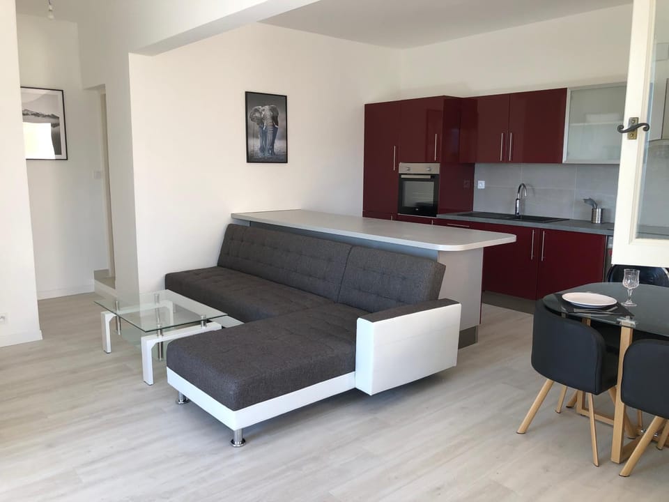 French Riviera near Nice Monaco, Apartments in Villa, Sea Montain View Apartment in French Riviera