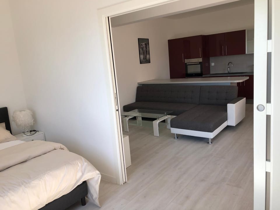 French Riviera near Nice Monaco, Apartments in Villa, Sea Montain View Apartment in French Riviera