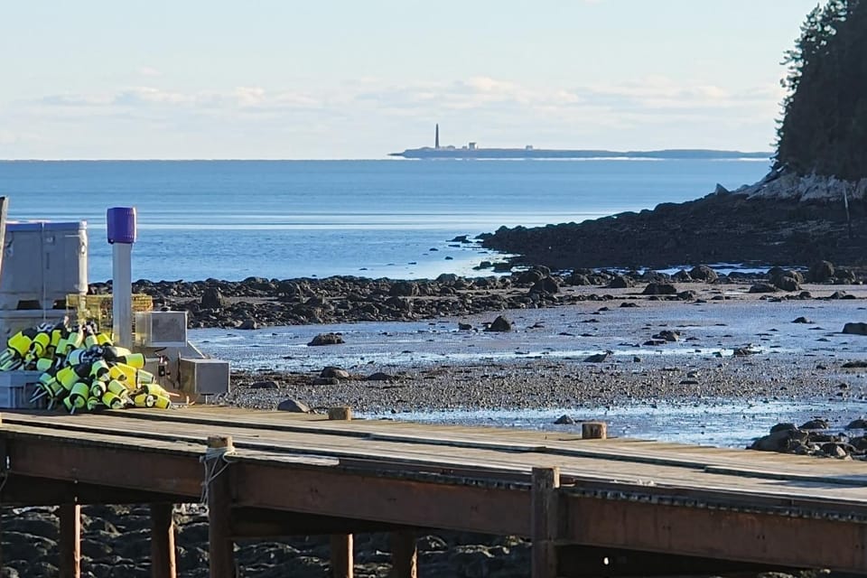 Walk to Pigeon Hill Bay: Coastal Maine Cottage House in Milbridge