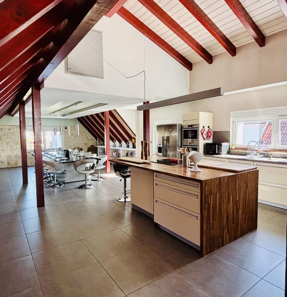 250m house near Strasbourg - beautiful terrace Apartment in Ortenau