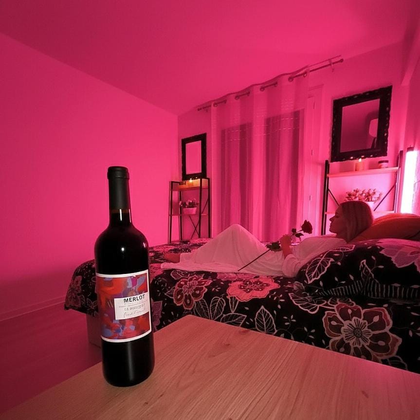 L'azur - Terrasse - Climatisé Apartment in Canet-en-Roussillon