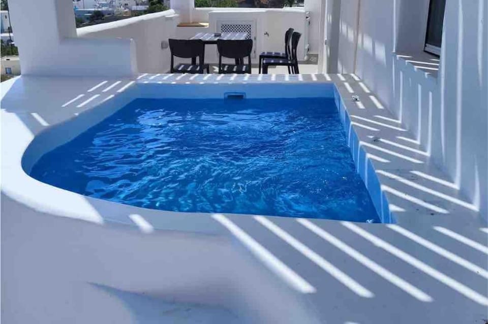 Pets, Swimming pool