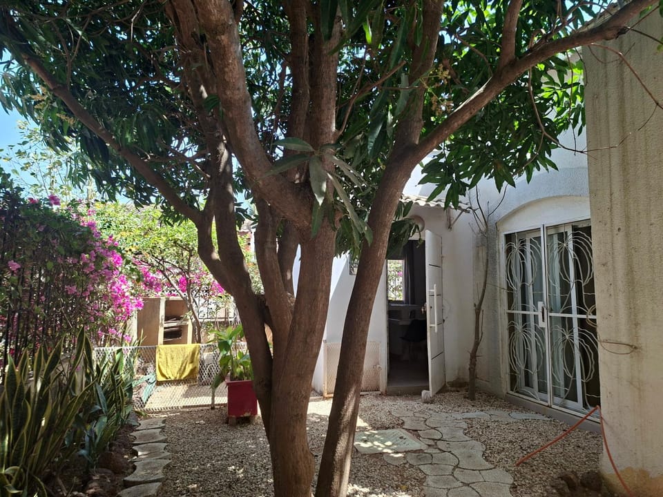 Facade/entrance, Garden