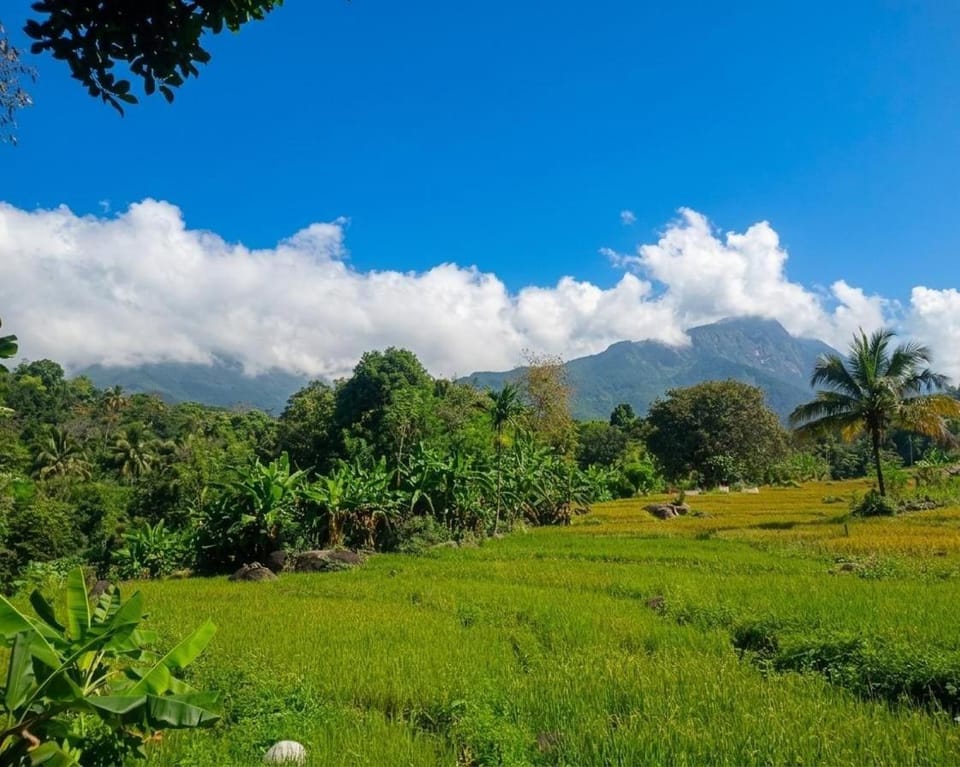 Velya cabana Luxury tent in Uva Province, Sri Lanka