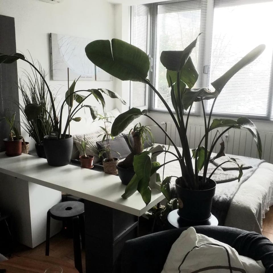 artist design Zagreb Apartment in City of Zagreb