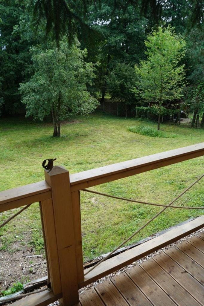 Patak Kuckó cabin ház Cabin in Hungary