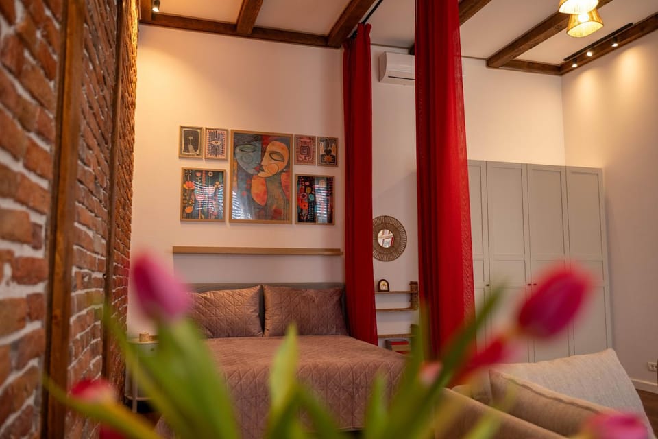 Central Charm Apartment in Timiș County