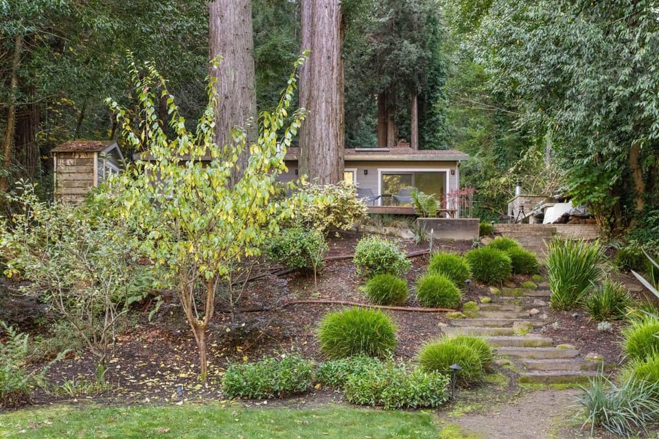 Cozy Riverfront Cabin with Dock Fire Pit & Dogs OK Cabin in Monte Rio