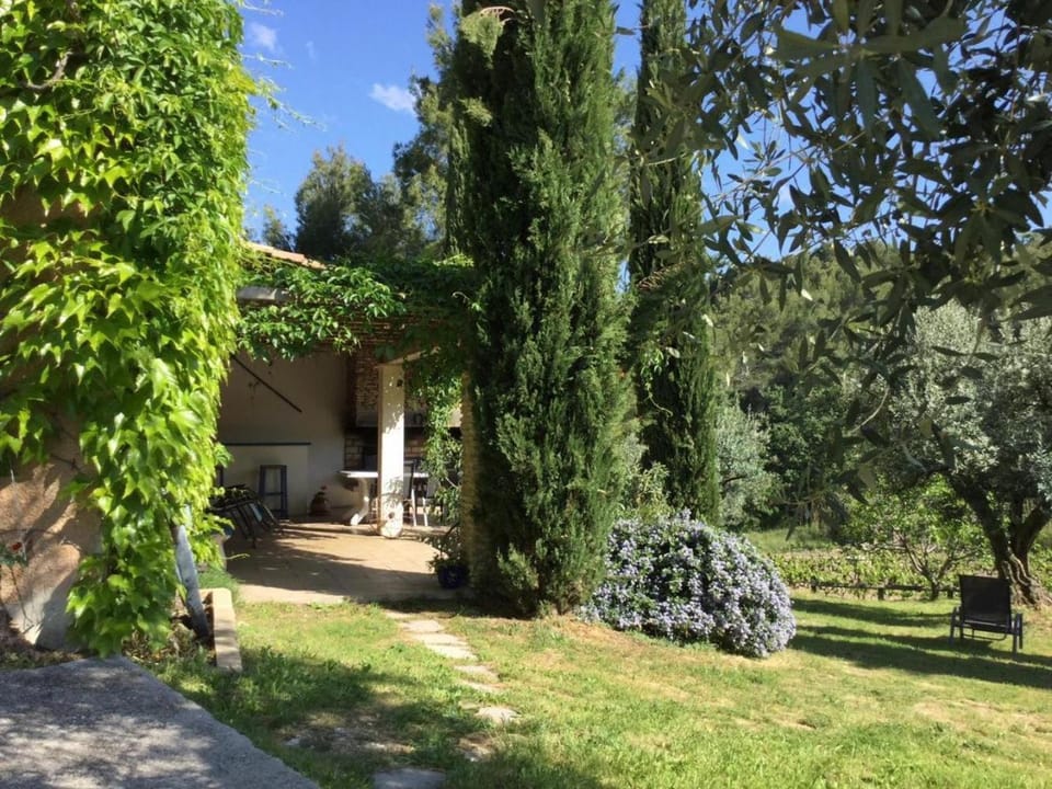 Patio, Garden