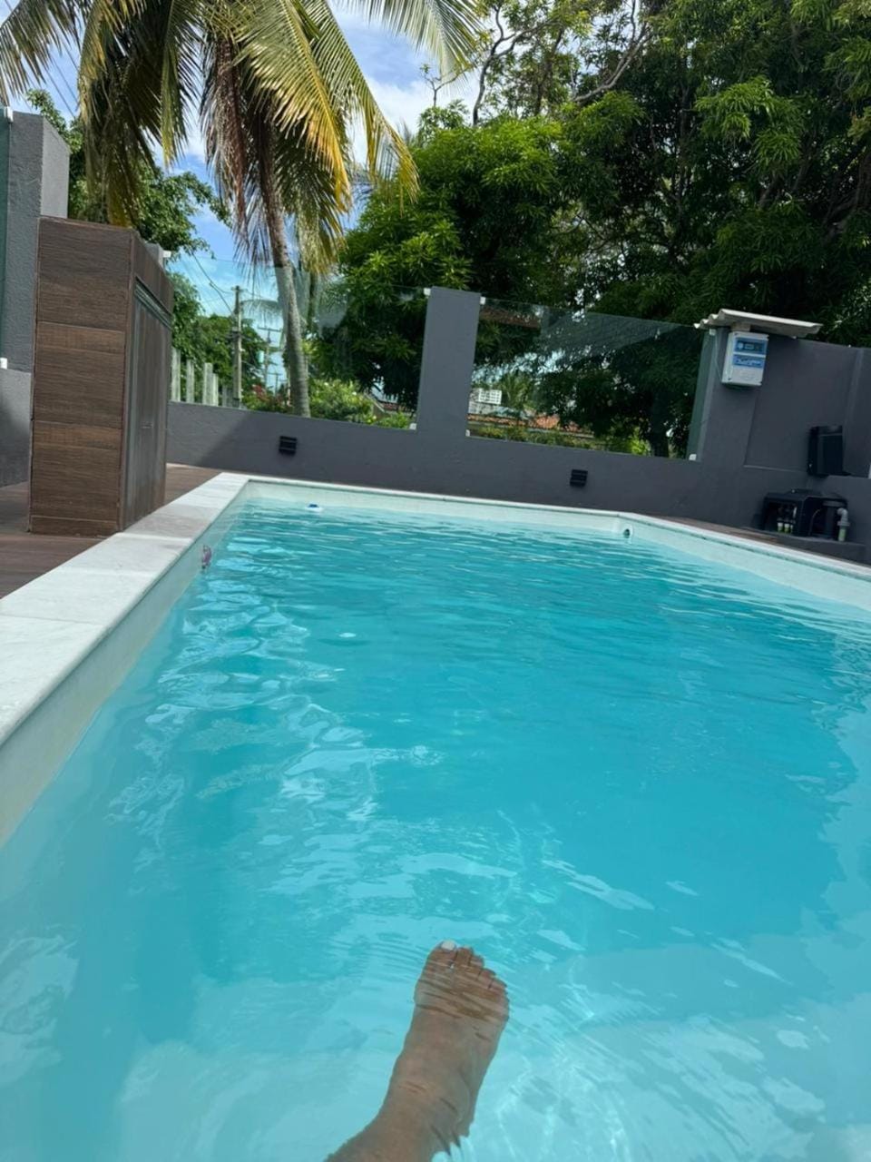 Garden, Garden view, Pool view, Swimming pool