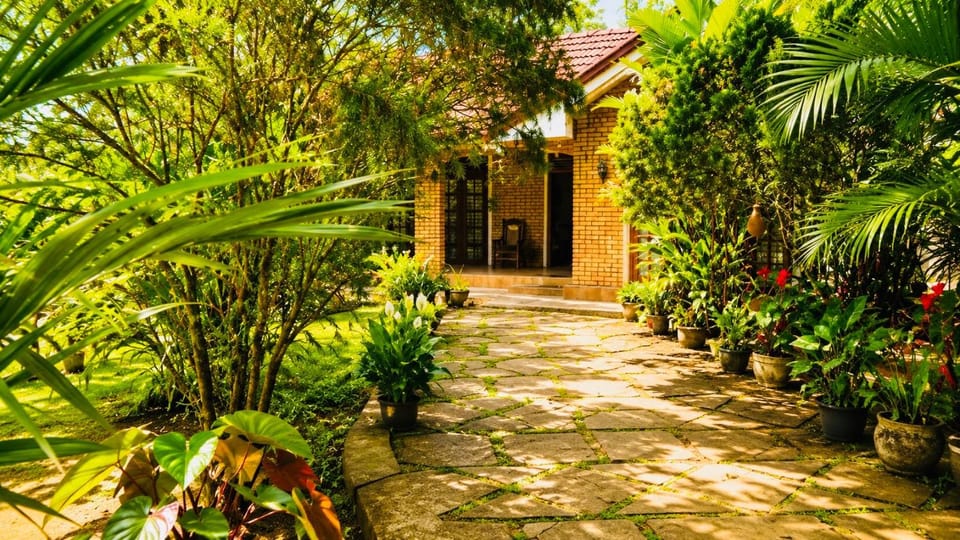 Day, Natural landscape, Garden, Garden view