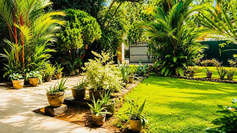 Natural landscape, Garden, Garden view