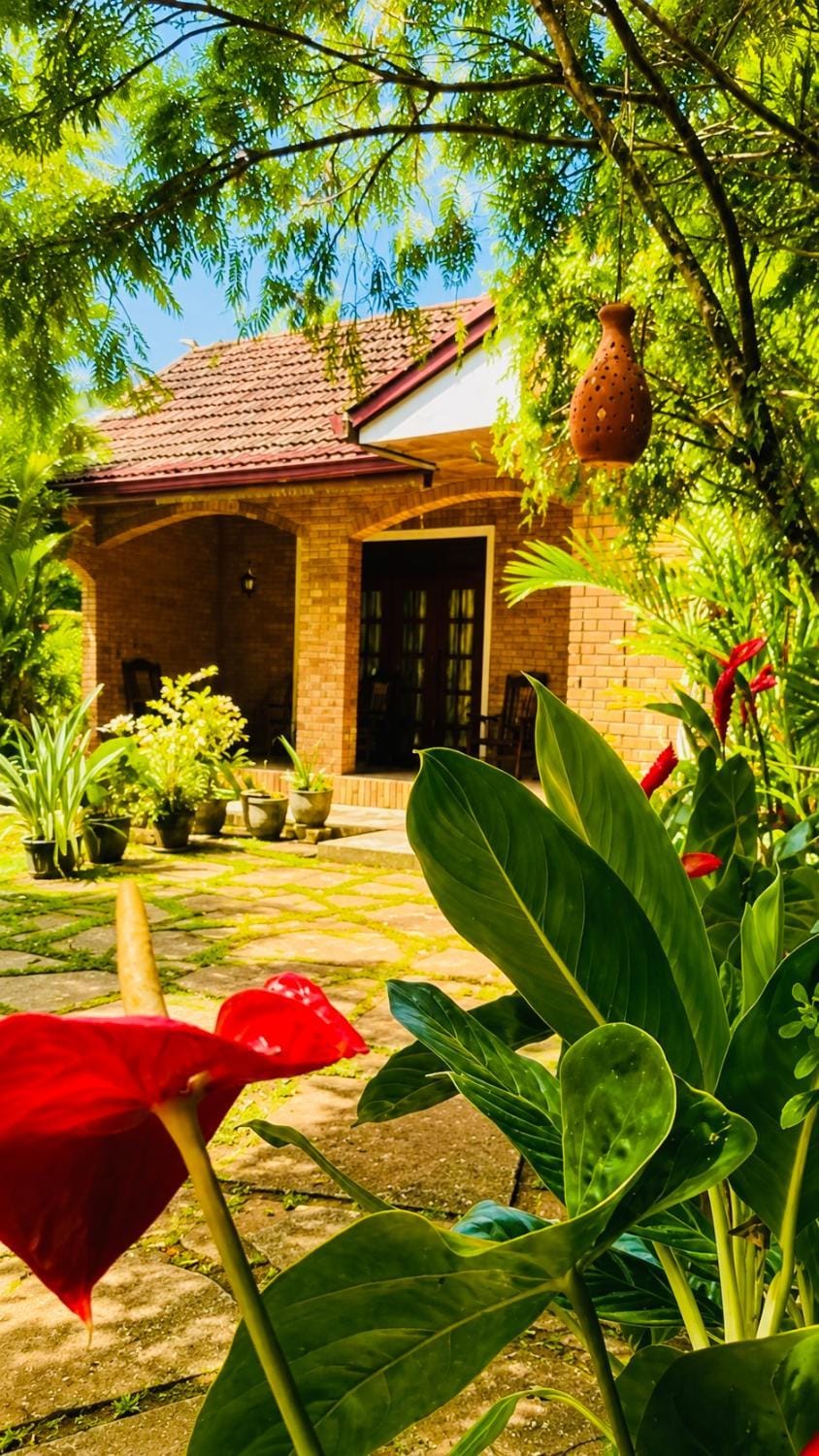 Property building, Day, Garden, Garden view